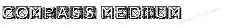 Compass Medium字体转换